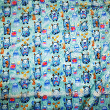 Load image into Gallery viewer, Minky DEC01 Fabric  95928567
